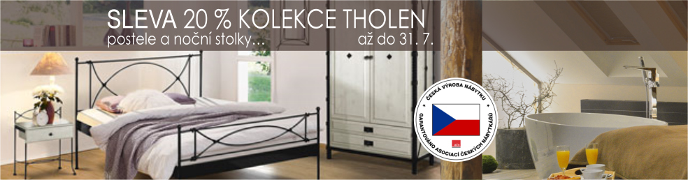 Tholen-2021-cz